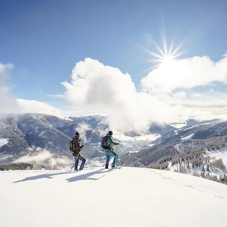 Cooee Alpin 4* 巴德小基希海姆