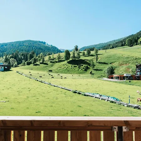 Cooee Alpin 호텔 4*